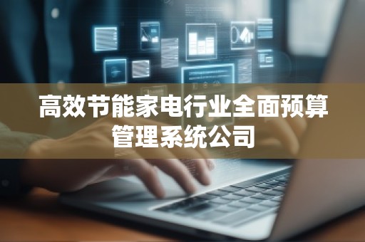 高效节能家电行业全面预算管理系统公司