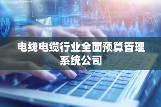电线电缆行业全面预算管理系统公司
