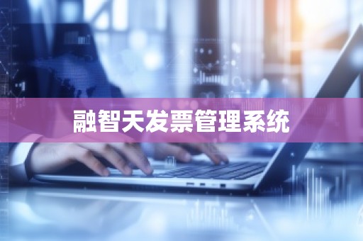 融智天发票管理系统