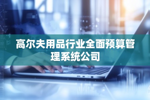 高尔夫用品行业全面预算管理系统公司