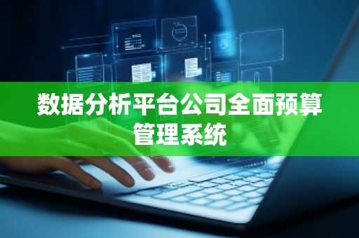数据分析平台公司全面预算管理系统