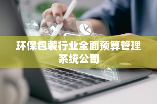 环保包装行业全面预算管理系统公司
