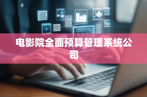 电影院全面预算管理系统公司