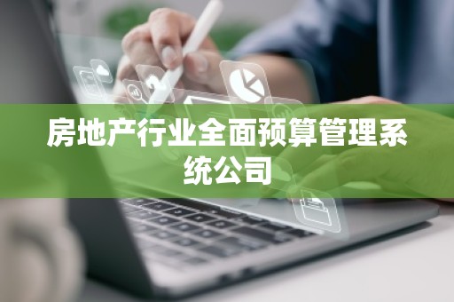 房地产行业全面预算管理系统公司