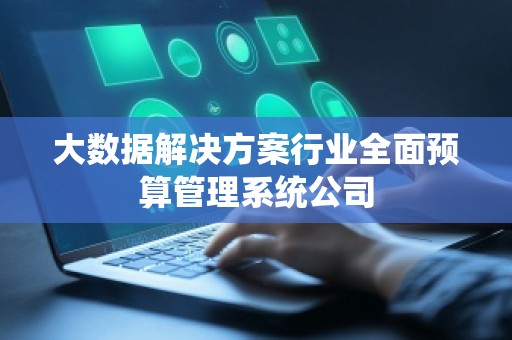 大数据解决方案行业全面预算管理系统公司