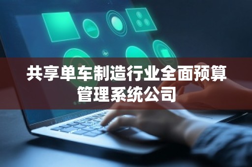 共享单车制造行业全面预算管理系统公司