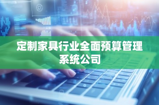 定制家具行业全面预算管理系统公司