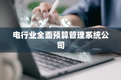 电行业全面预算管理系统公司
