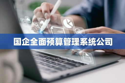 国企全面预算管理系统公司