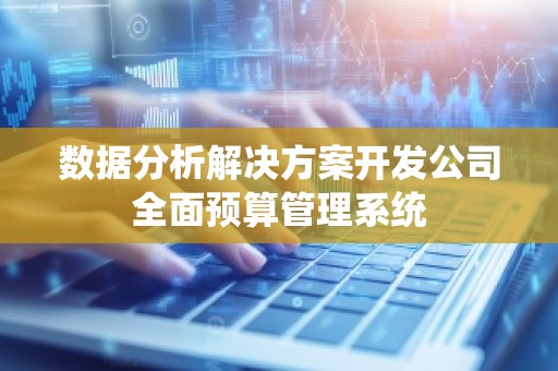 数据分析解决方案开发公司全面预算管理系统