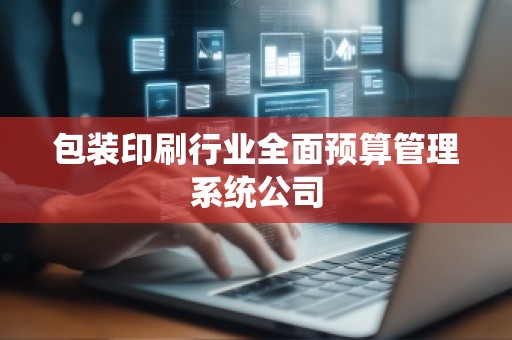 包装印刷行业全面预算管理系统公司