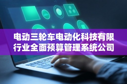 电动三轮车电动化科技有限行业全面预算管理系统公司