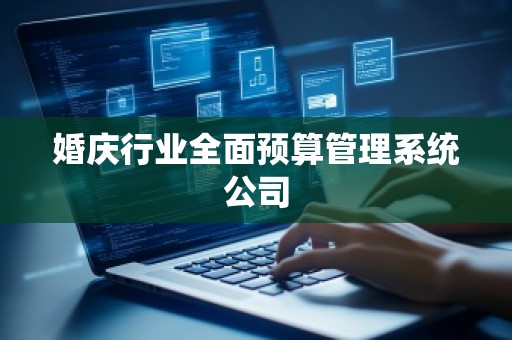 婚庆行业全面预算管理系统公司