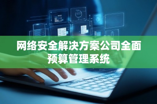 网络安全解决方案公司全面预算管理系统