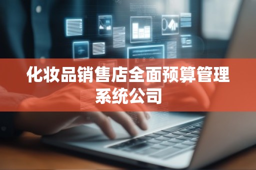化妆品销售店全面预算管理系统公司
