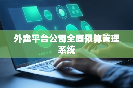 外卖平台公司全面预算管理系统