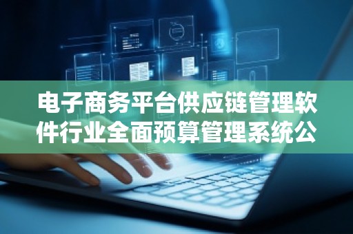 电子商务平台供应链管理软件行业全面预算管理系统公司