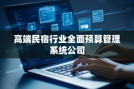 高端民宿行业全面预算管理系统公司