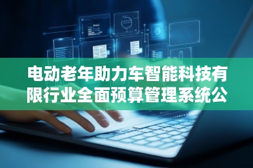 电动老年助力车智能科技有限行业全面预算管理系统公司