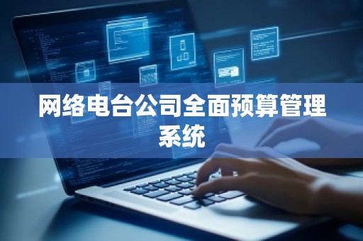 网络电台公司全面预算管理系统