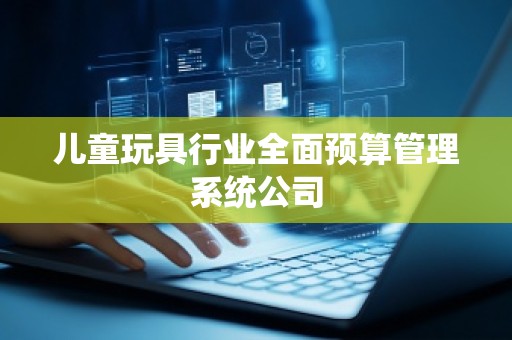 儿童玩具行业全面预算管理系统公司
