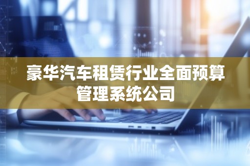 豪华汽车租赁行业全面预算管理系统公司