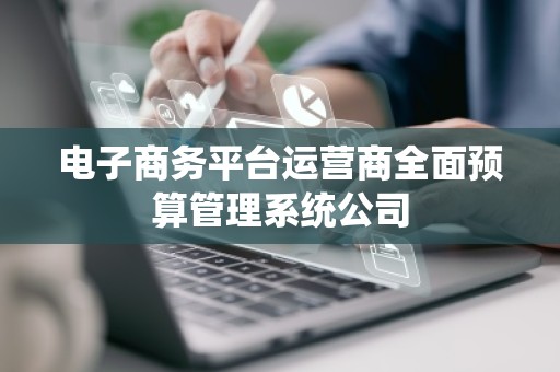 电子商务平台运营商全面预算管理系统公司