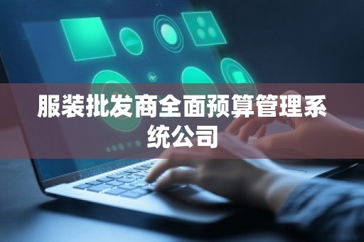 服装批发商全面预算管理系统公司