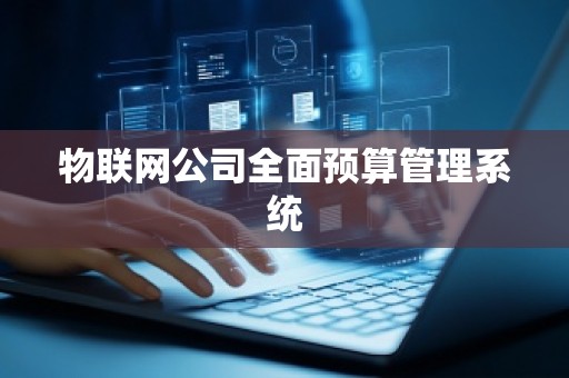 物联网公司全面预算管理系统