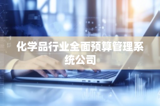 化学品行业全面预算管理系统公司