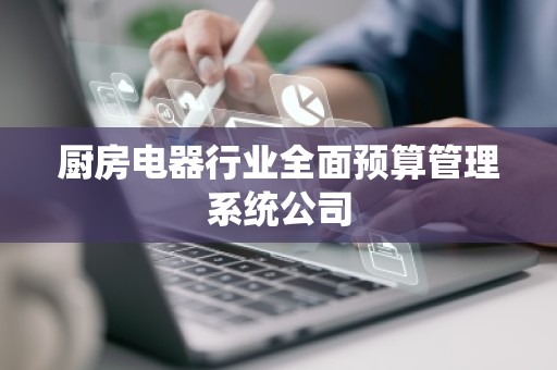 厨房电器行业全面预算管理系统公司