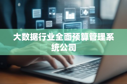 大数据行业全面预算管理系统公司