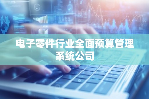 电子零件行业全面预算管理系统公司