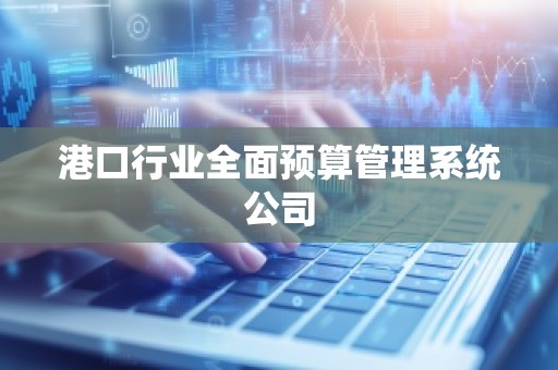 港口行业全面预算管理系统公司
