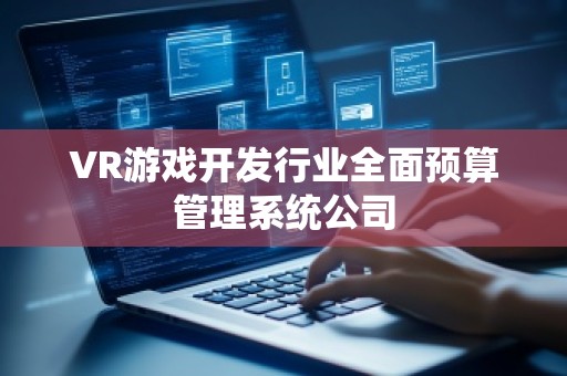 VR游戏开发行业全面预算管理系统公司