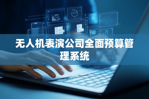 无人机表演公司全面预算管理系统