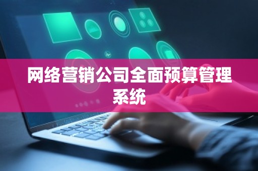 网络营销公司全面预算管理系统