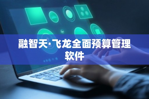 融智天·飞龙全面预算管理软件