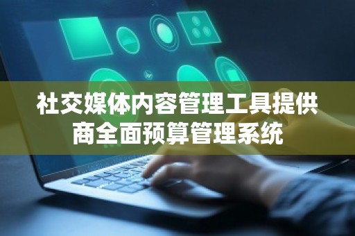 社交媒体内容管理工具提供商全面预算管理系统