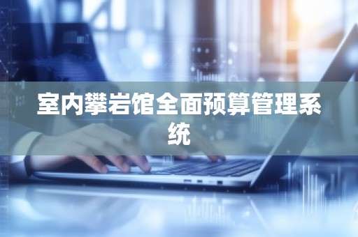 室内攀岩馆全面预算管理系统