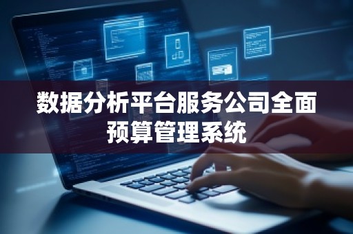 数据分析平台服务公司全面预算管理系统