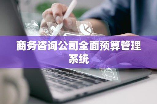商务咨询公司全面预算管理系统