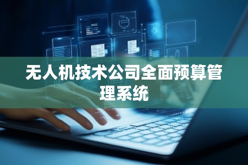 无人机技术公司全面预算管理系统