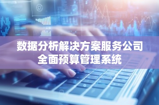 数据分析解决方案服务公司全面预算管理系统