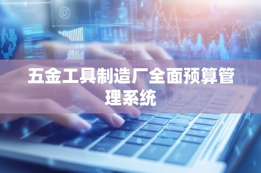 五金工具制造厂全面预算管理系统