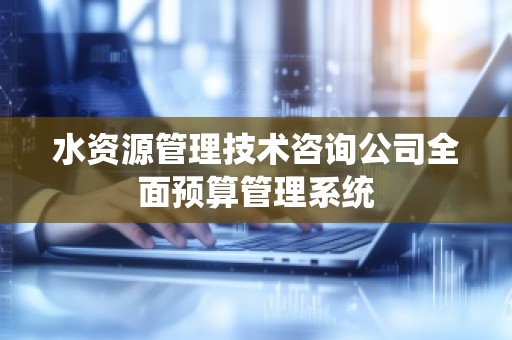 水资源管理技术咨询公司全面预算管理系统
