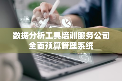 数据分析工具培训服务公司全面预算管理系统