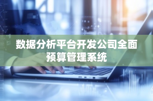 数据分析平台开发公司全面预算管理系统
