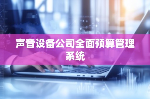 声音设备公司全面预算管理系统