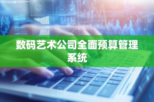 数码艺术公司全面预算管理系统